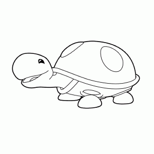 Schildpad