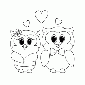 Two owls in love