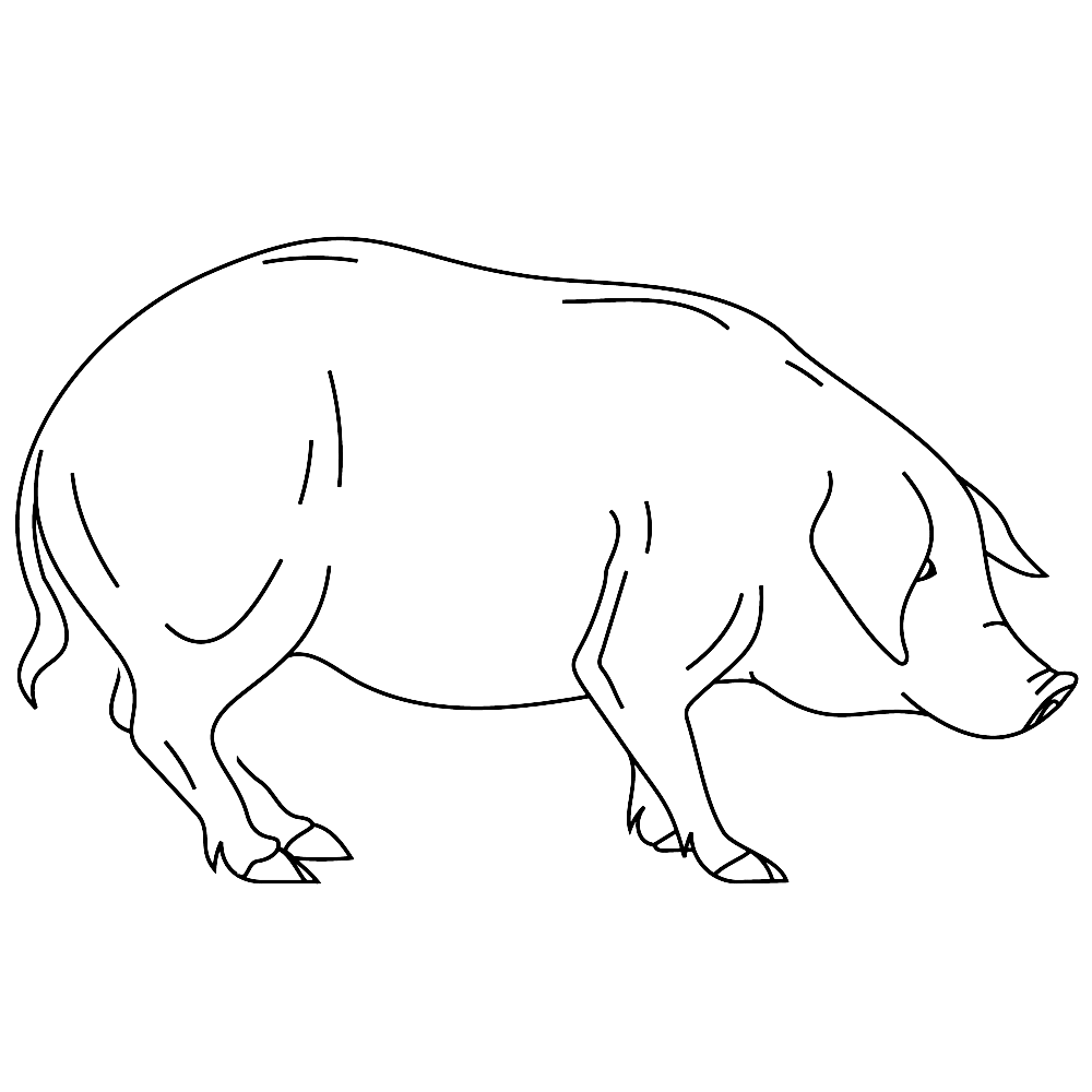 bekijk Een groot varken kleurplaat
