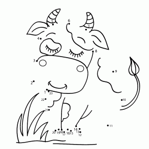 Een koe