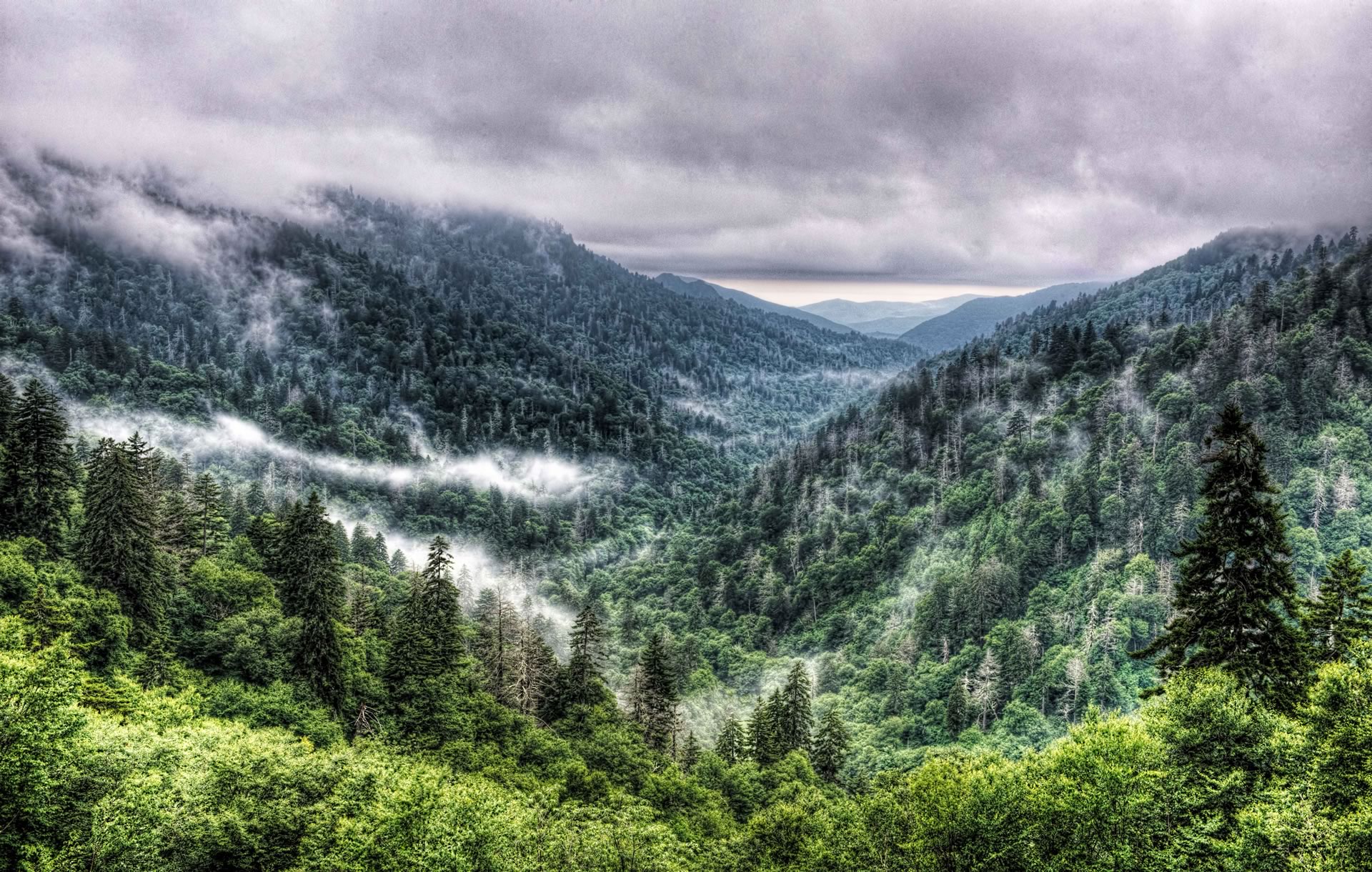download wallpaper: Great Smoky Mountains national park wallpaper