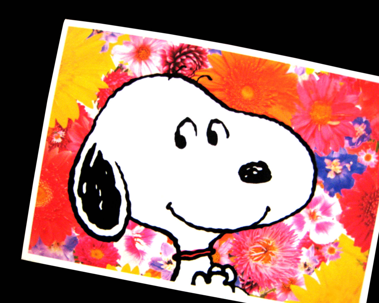 download wallpaper: groeten van Snoopy wallpaper