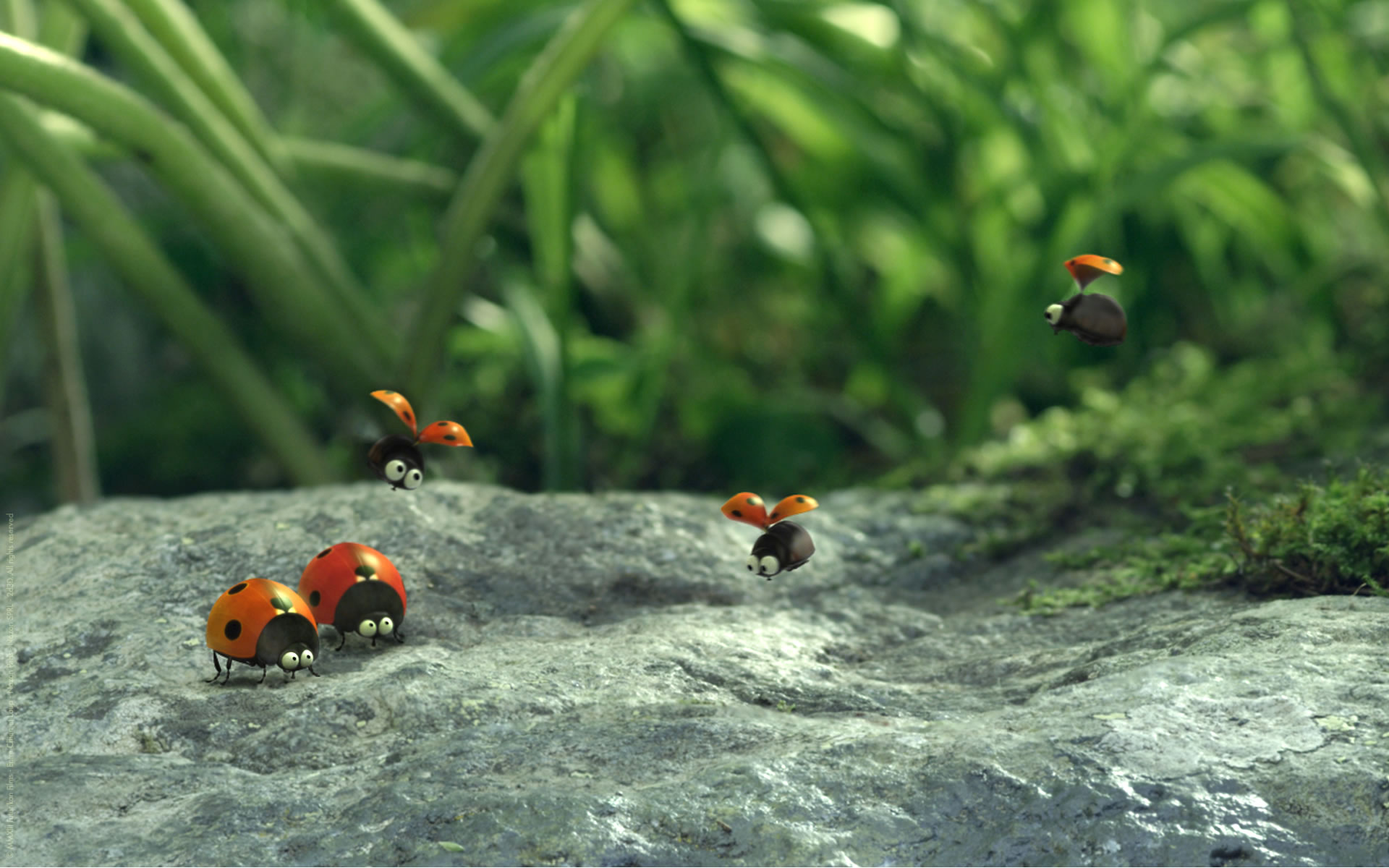 download wallpaper: lieveheersbeestjes uit miniscule vallei van de mieren wallpaper