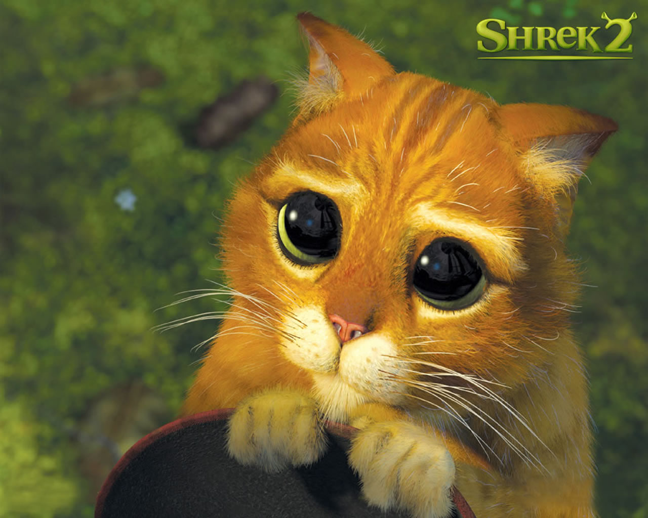 download wallpaper: Shrek 2 – gelaarsde kat wallpaper