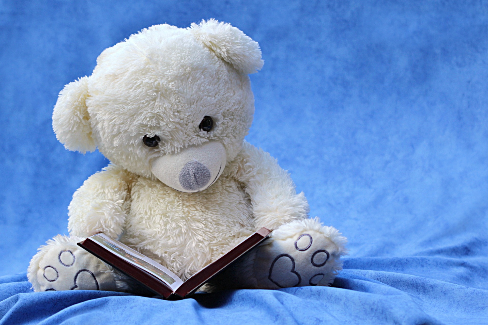 download wallpaper: teddybeer leest een boek wallpaper