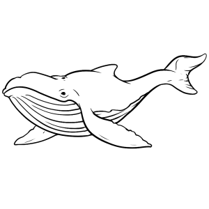 Walvis