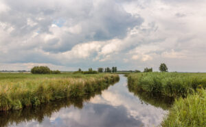 Wieden - Weerribben