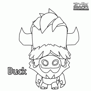 Buck